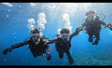 武藤潜水に投稿された画像（2023/3/7）