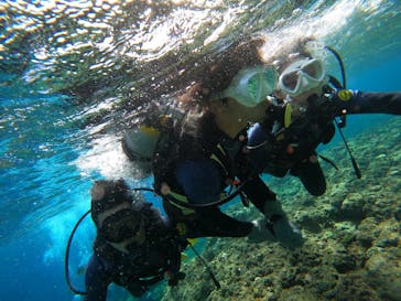 沖縄マリンサービス碧に投稿された画像（2023/3/7）