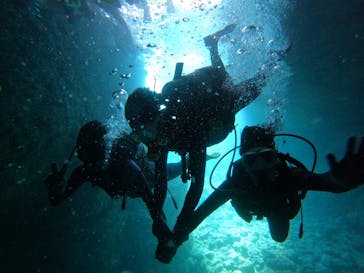 沖縄マリンサービス碧に投稿された画像（2023/3/7）