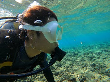 沖縄マリンサービス碧に投稿された画像（2023/3/7）