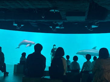 カワスイ 川崎⽔族館に投稿された画像（2023/3/7）