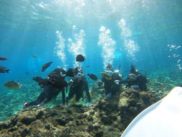 沖縄マリンサービス碧に投稿された画像（2023/3/7）