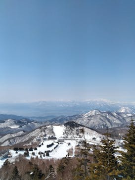 志賀高原中央エリアスキー場に投稿された画像（2023/3/7）