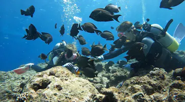 武藤潜水に投稿された画像（2023/3/7）