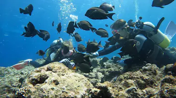 武藤潜水に投稿された画像（2023/3/7）