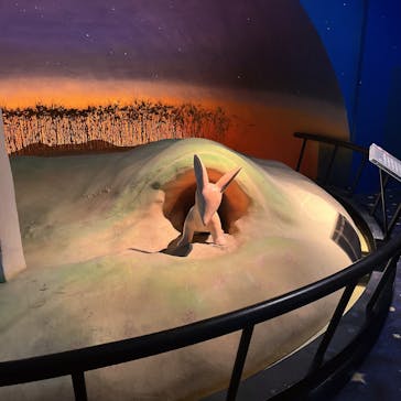 星の王子さまミュージアム 箱根サン=テグジュペリに投稿された画像（2023/3/7）