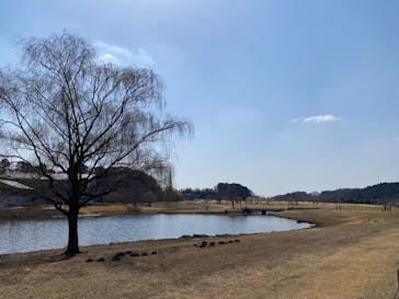 偕楽園本園に投稿された画像（2023/3/7）