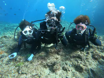 武藤潜水に投稿された画像（2023/3/7）