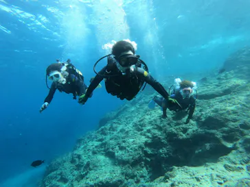 武藤潜水に投稿された画像（2023/3/7）