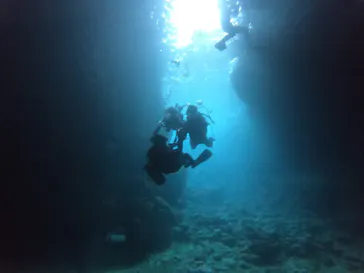 武藤潜水に投稿された画像（2023/3/7）