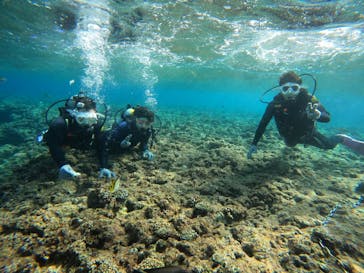 沖縄マリンサービス碧に投稿された画像（2023/3/7）