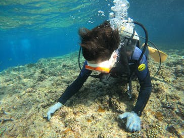 沖縄マリンサービス碧に投稿された画像（2023/3/7）