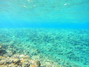 沖縄マリンサービス碧に投稿された画像（2023/3/7）