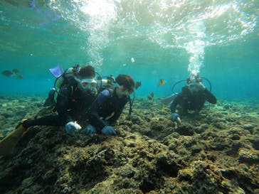 沖縄マリンサービス碧に投稿された画像（2023/3/7）