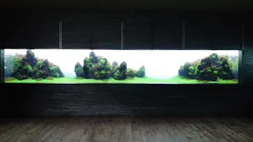 すみだ水族館に投稿された画像（2023/3/7）