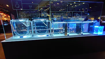 すみだ水族館に投稿された画像（2023/3/7）