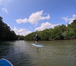 石垣島 ADVENTURE PiPi（イシガキジマアドベンチャーピピ）に投稿された画像（2023/3/7）