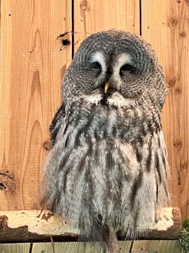 伊豆シャボテン動物公園に投稿された画像（2023/3/7）