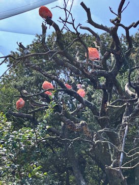 伊豆シャボテン動物公園に投稿された画像（2023/3/7）