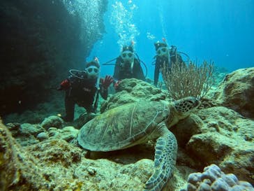 初心者専門マリンサービスサンフィッシュ石垣島に投稿された画像（2023/3/7）