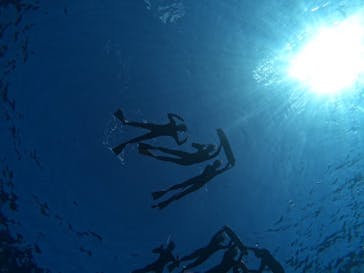 初心者専門マリンサービスサンフィッシュ石垣島に投稿された画像（2023/3/7）