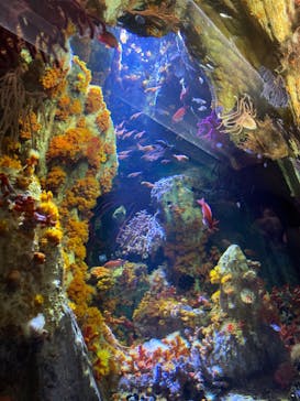 サンシャイン水族館に投稿された画像（2023/3/7）