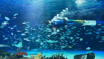 サンシャイン水族館に投稿された画像（2023/3/7）