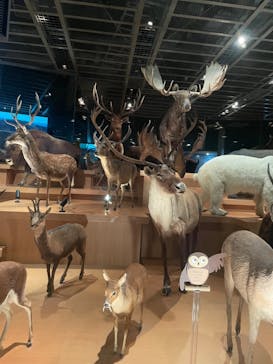 国立科学博物館に投稿された画像（2023/3/7）