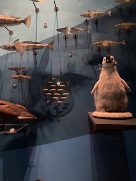 国立科学博物館に投稿された画像（2023/3/7）