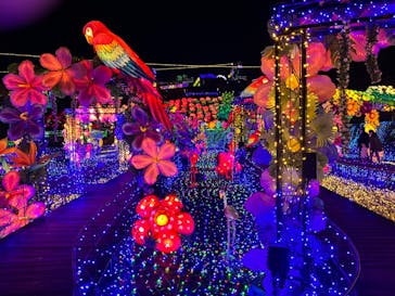 伊豆ぐらんぱる公園に投稿された画像（2023/3/7）