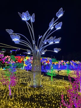 伊豆ぐらんぱる公園に投稿された画像（2023/3/7）