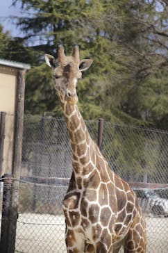 姫路セントラルパークに投稿された画像（2023/3/7）