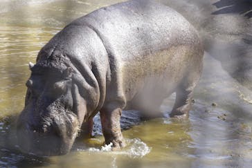 姫路セントラルパークに投稿された画像（2023/3/7）