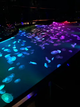 すみだ水族館に投稿された画像（2023/3/7）