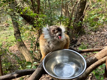 長崎バイオパークに投稿された画像（2023/3/7）