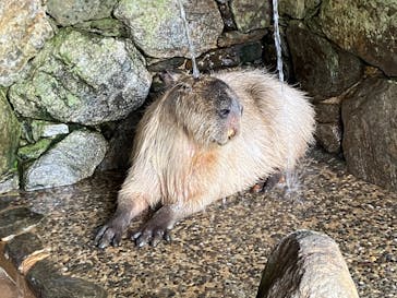 長崎バイオパークに投稿された画像（2023/3/7）