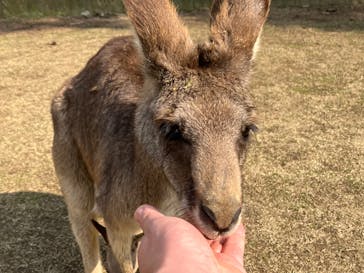 長崎バイオパークに投稿された画像（2023/3/7）