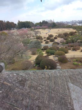 偕楽園本園に投稿された画像（2023/3/7）