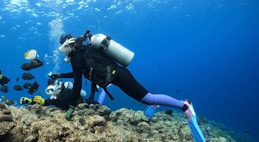 DIVING-SHOP SUNSに投稿された画像（2023/3/8）