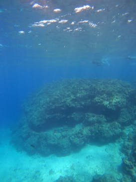 沖縄マリンサービス碧に投稿された画像（2023/3/8）