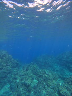 沖縄マリンサービス碧に投稿された画像（2023/3/8）