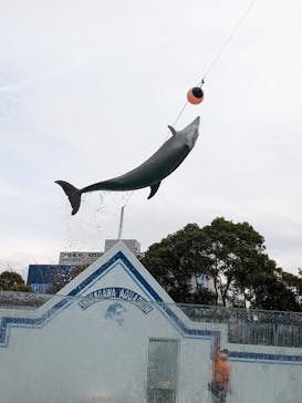 しながわ水族館に投稿された画像（2023/3/8）