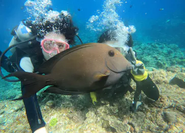武藤潜水に投稿された画像（2023/3/8）