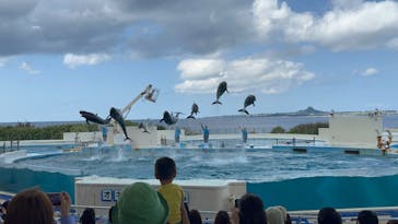 沖縄美ら海水族館に投稿された画像（2023/3/8）
