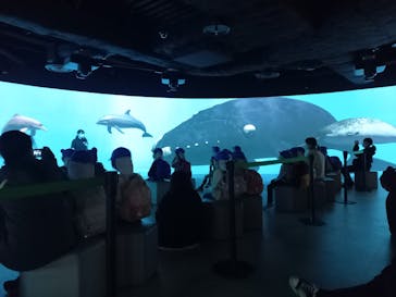 カワスイ 川崎⽔族館に投稿された画像（2023/3/8）