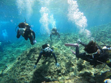 沖縄マリンサービス碧に投稿された画像（2023/3/8）