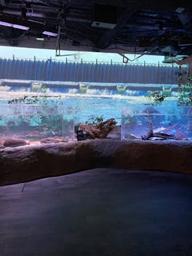 カワスイ 川崎⽔族館に投稿された画像（2023/3/8）