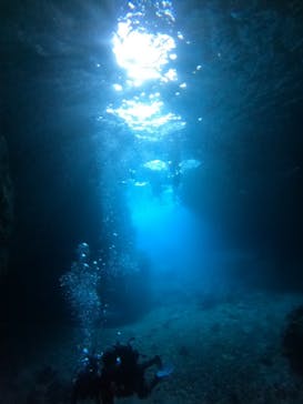 沖縄マリンサービス碧に投稿された画像（2023/3/8）