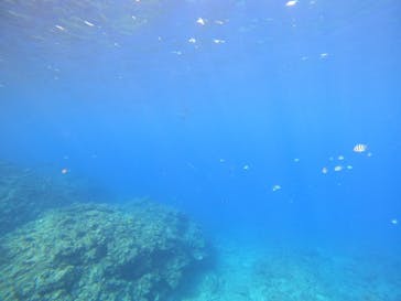 沖縄マリンサービス碧に投稿された画像（2023/3/8）