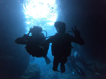 武藤潜水に投稿された画像（2023/3/8）